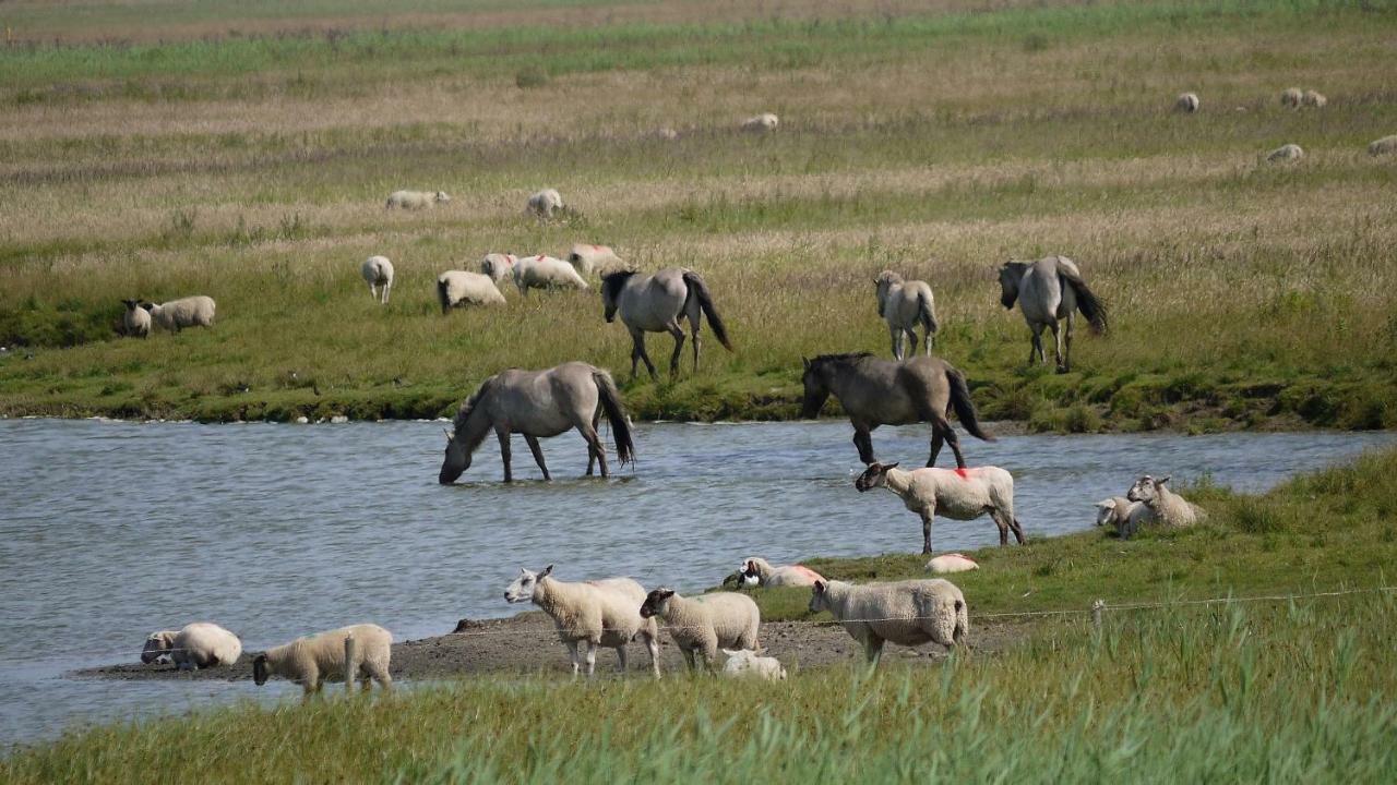 Wattenblick Büsum Eksteriør billede